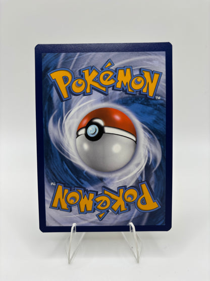 Charizard V Sword & Shield Promo SWSH260