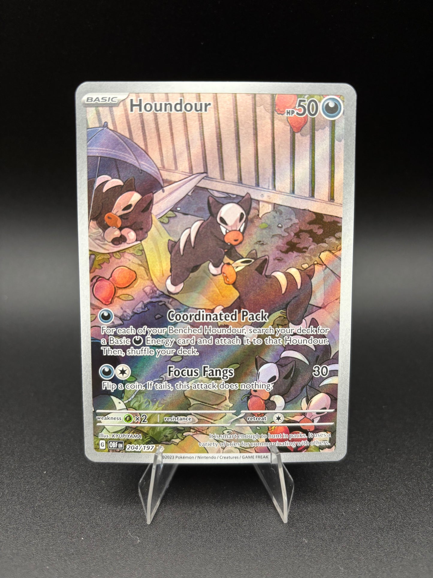 Houndoor Obsidian Flames Illustration Rare 204/197