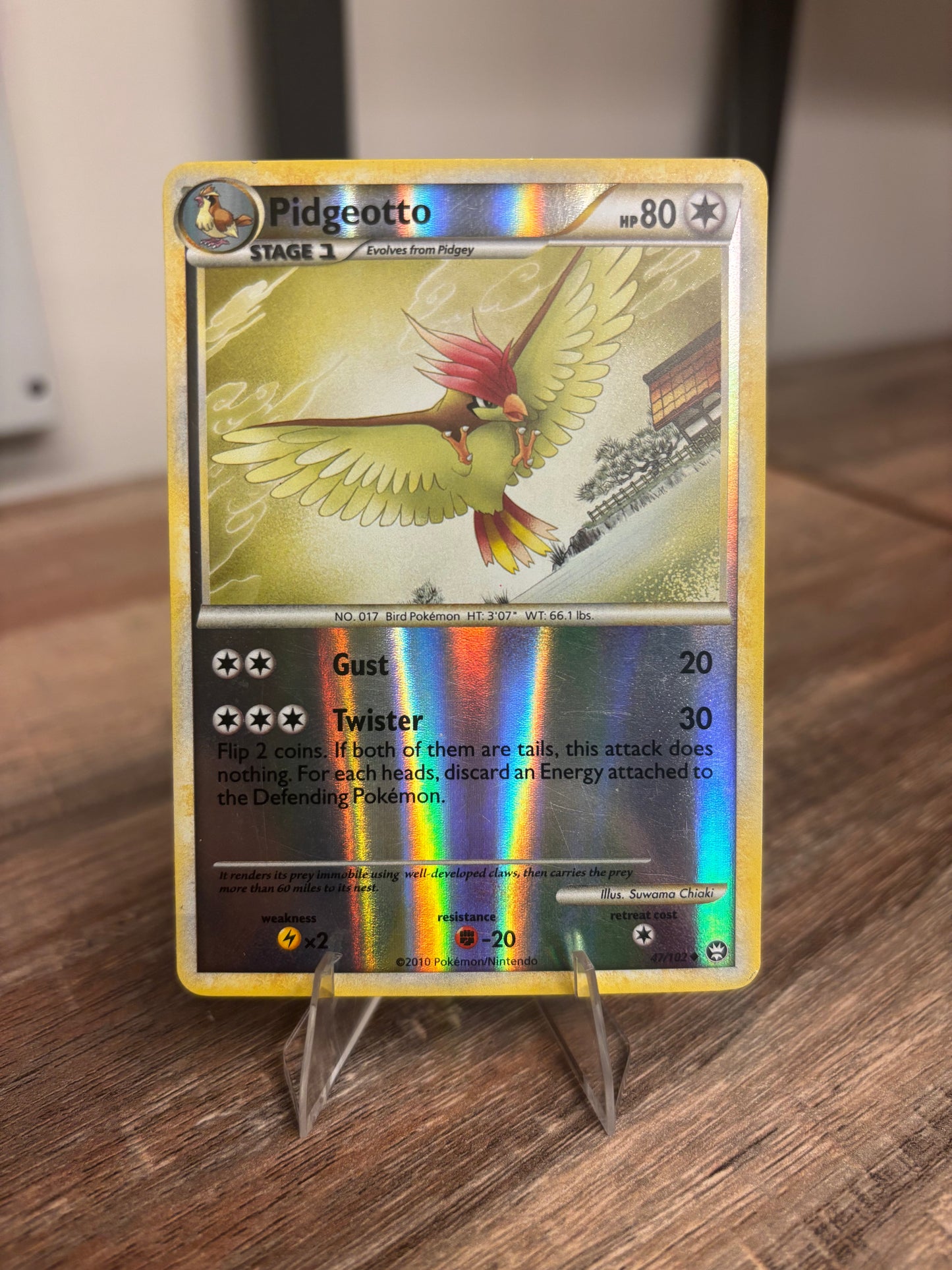 Pidgeotto Triumphant Uncommon 47